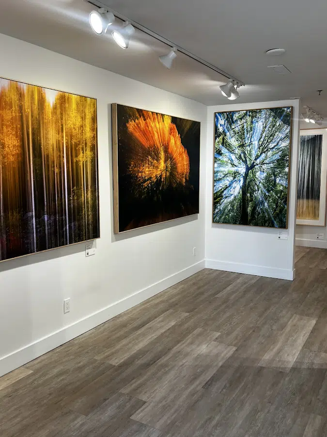 O'CONNELL GALLERY